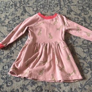 Mini boden dog dress 3-4